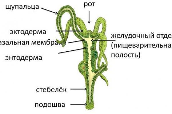 2krn cc официальный