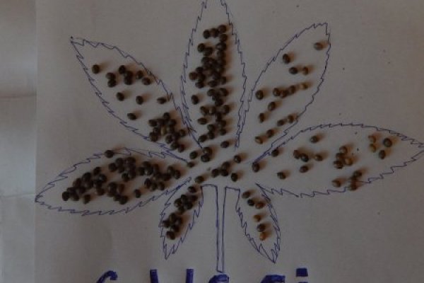 Кракен даркнет рабочая ссылка