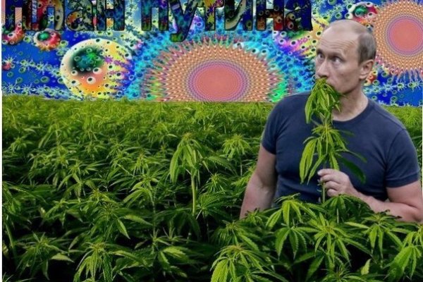 Кракен современный даркнет маркет плейс