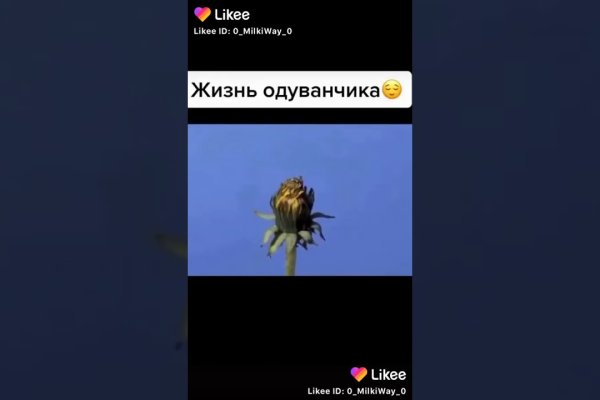 Ссылки на кракен мегу