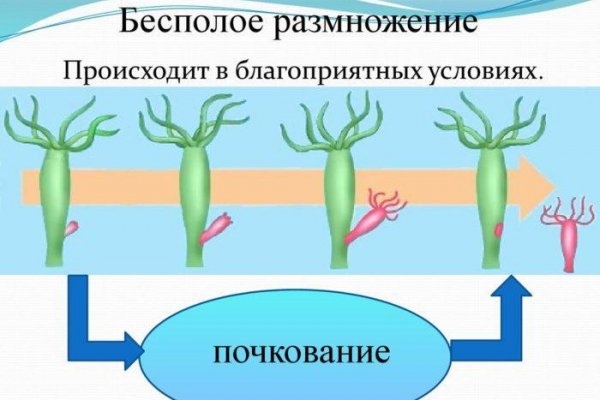 Кракен прямая ссылка